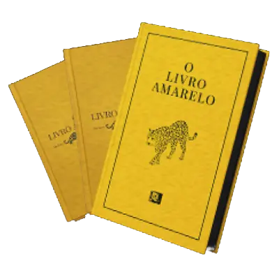 Livro Amarelo — Patrono
